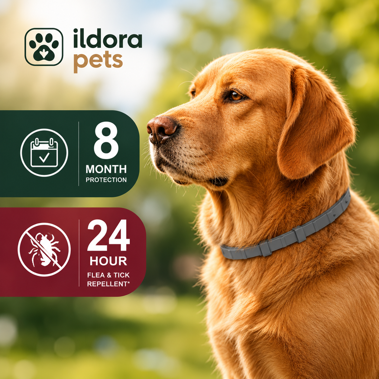 Flea & Tick Protection Collar for Dogs & Cats – 8 Month Protection